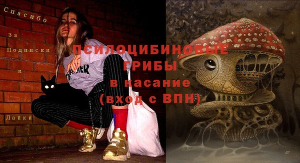тгк Михайлов