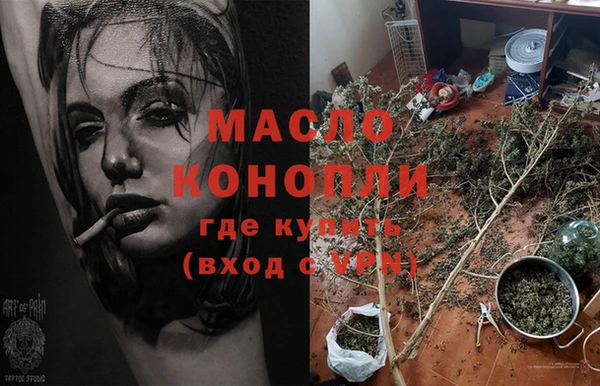 тгк Михайлов