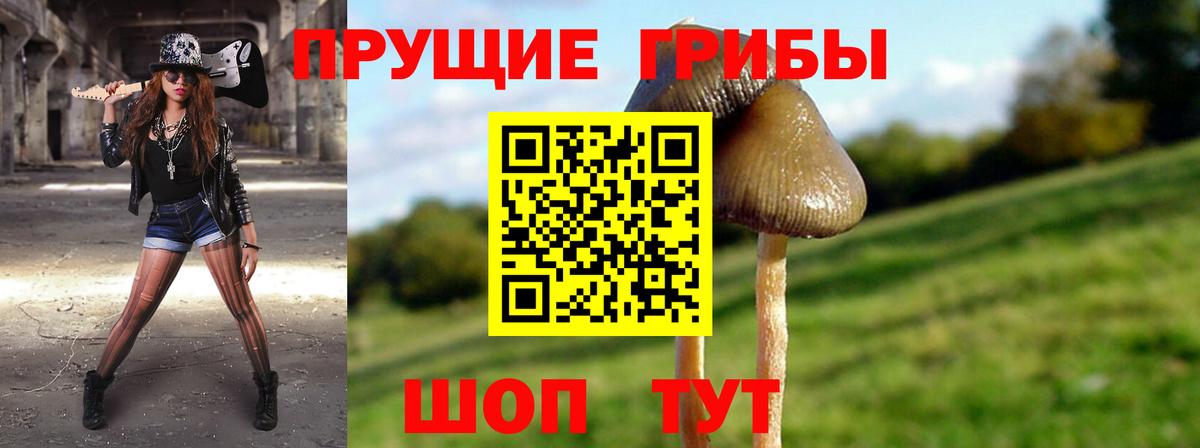 Галлюциногенные грибы MAGIC MUSHROOMS  Галлюциногенные грибы мицелий  Иваново 