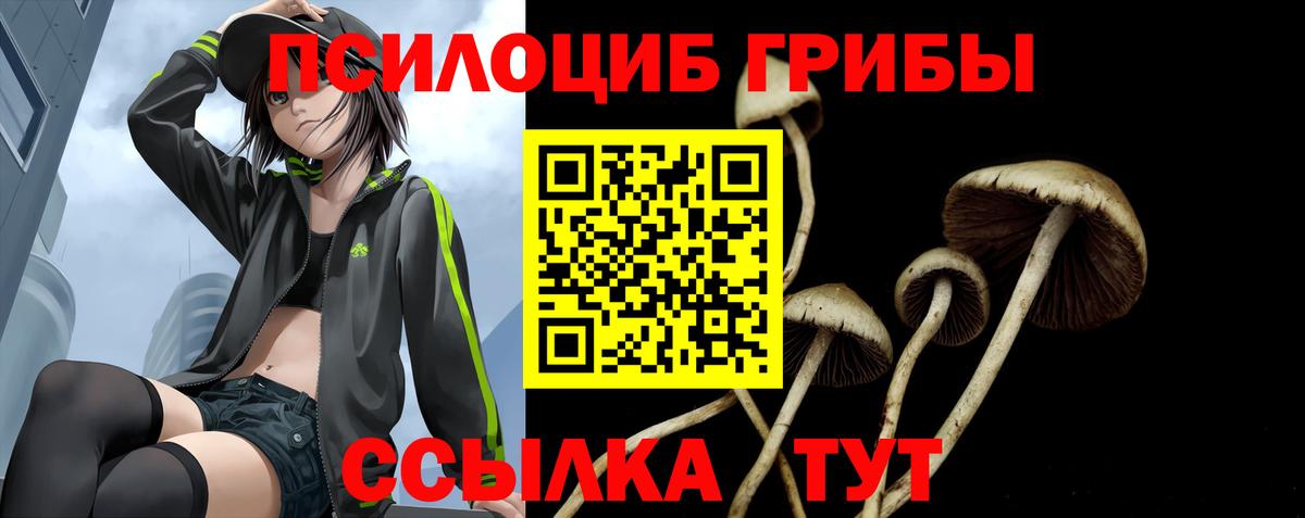 Псилоцибиновые грибы Cubensis  что такое наркотик  Иваново  Вход с VPN 