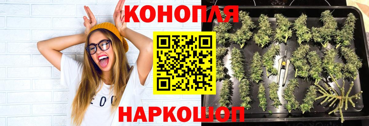 Конопля OG Kush  Каннабис White Widow  Иваново 